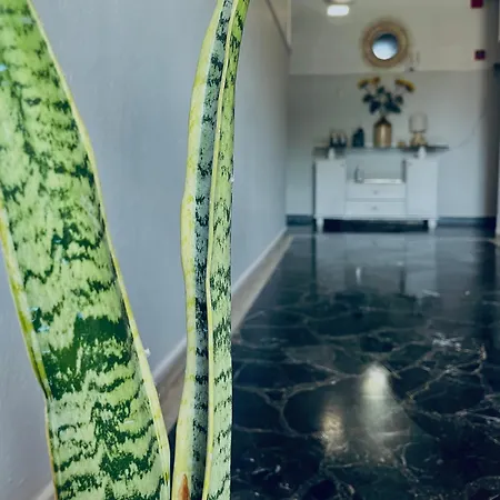 Aktaion Hotel
